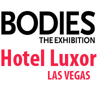 Bodies The Exhibition Las Vegas