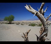 Death Valley Day Trip from Las Vegas