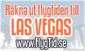 Hur lång tid tar det att flyga till New York - flygtid.se!