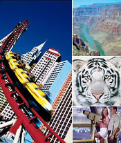 Las Vegas collage